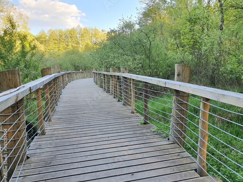 Łosiowe Bagna - Elk Marshes