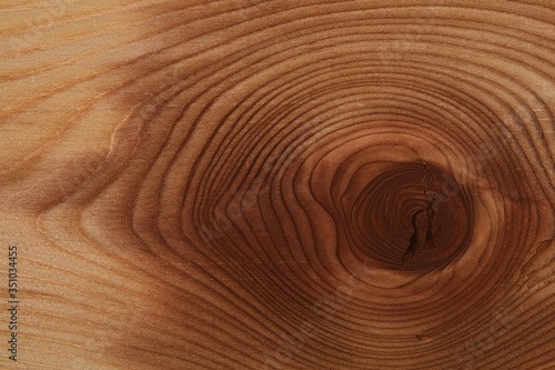 Saw cut tree. Background of wood texture