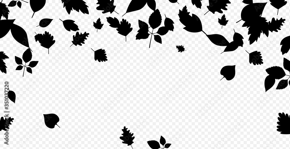 Falling leaves black silhouettes border on white. Falling leaves black silhouettes border on white.