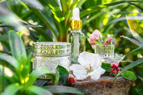 Oil for skin care, massage from natural ingredients, herbs, mint in glass jars and test tubes on a green background in the garden on the nature, natural cosmetics