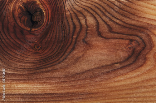 Wood background, wood texture. A beautiful saw cut tree. A knot and rings of time close-up.
