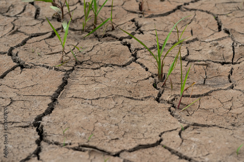 Close-up of dry, cracked brown soil caused by severe climate change with extreme drought.