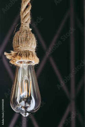 Ampoule à filaments - Eclairage d'intérieur décoratif au style industriel
