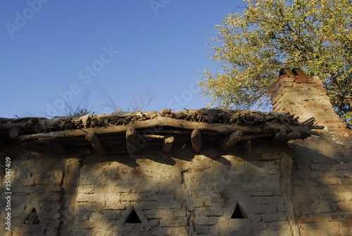 Flora Santiago del Estero