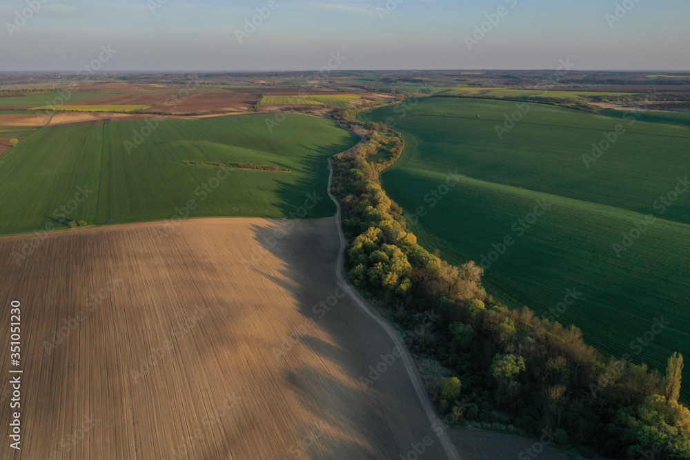 Plowed field and lush green forest on the background of wheat or barley field. Spring farm field, drone aerial view from above.