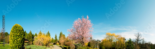 Landscape design of luxury home garden. Picturesque view of the landscaped garden in the yard. Landscape design with plants and flowers in a private area. Natural space scenery space in summer