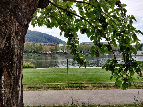 view of the river