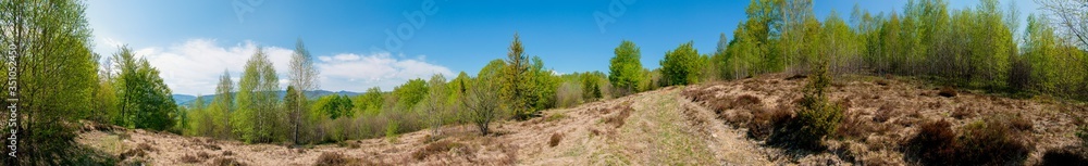 Beautiful rural summer landscape with forest, blue sky and white clouds, panorama. spring landscape with panoramic views of meadow and mountains