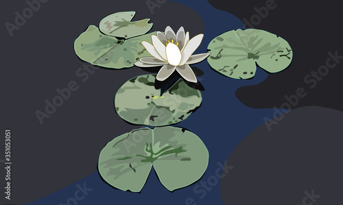 Water Lily with Lily Pads