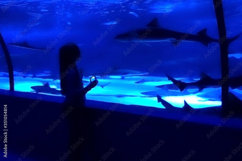 Young girl in aquarium tunnel with sharks, blurred background