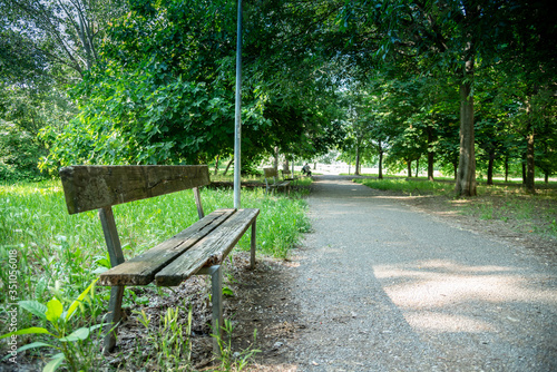 Giardino cittadino urbano parco rilassamento panchina vecchia per soste