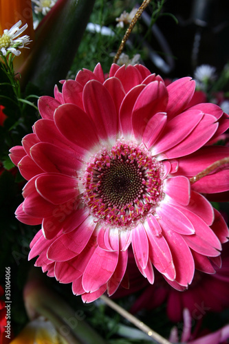regalo de amor, florido