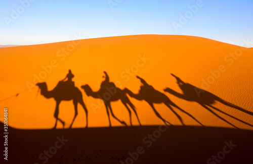 Camels. Sahara Desert. Merzouga Morocco.