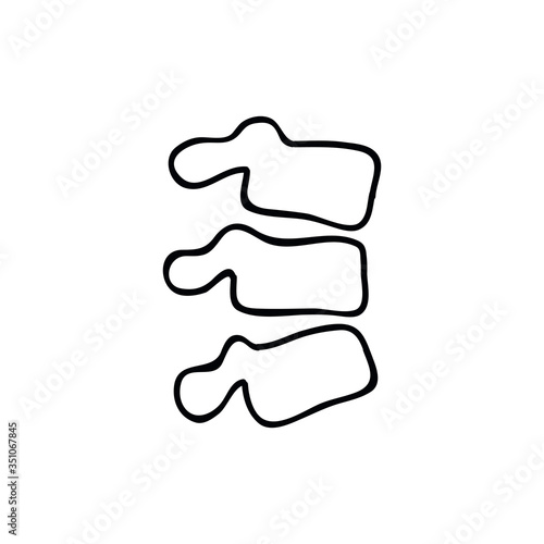 vertebrae doodle icon, vector illustration