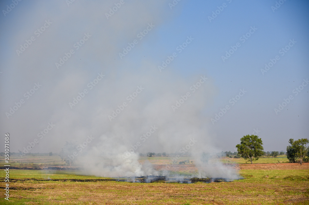 Burning fields in Thailand. Smoke and burnt grass on the field Burning fields in Thailand. Smoke and burnt grass on the field
