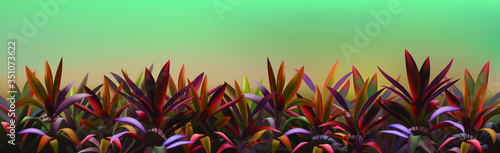 Flowerbed with bright colorful plants on abstract background