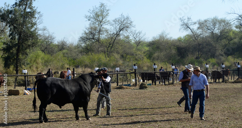 toros expo rural