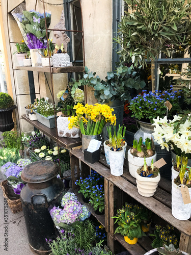 Traditional English flower market in Bath Spa