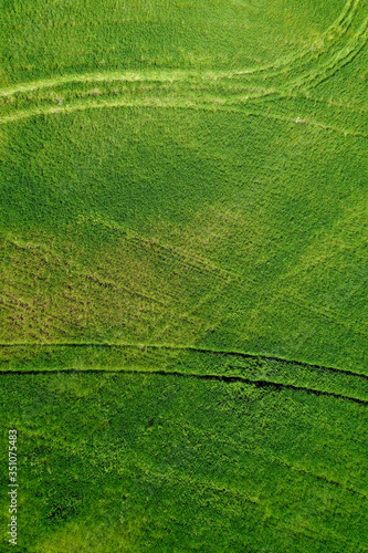 Tractor tracks in grass