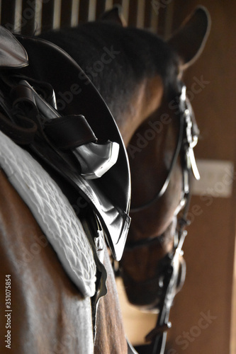 Close up of an english saddle on a brown horse