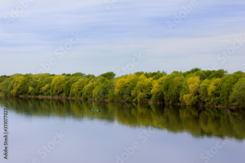 River and trees. Beautiful summer landscape