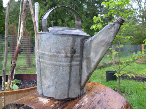 old metal galvanized watering can in garden