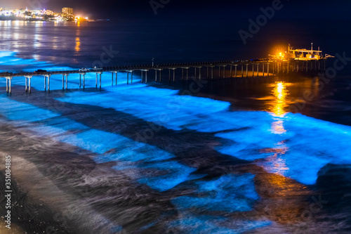 Wallpaper Mural Bioluminescent waves glow blue at night around the pier at Scripps Institute of Oceanography. Torontodigital.ca