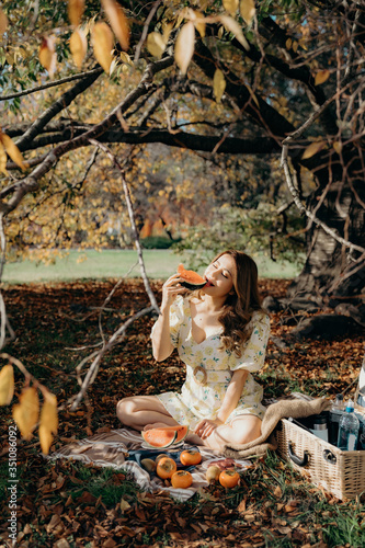 Happy Woman Life Style, beautiful asian girl on the nature picnic with fruits. Relaxing asian woman in Nature. Autumn landscape background. Active Outdoor Relax in Nature.