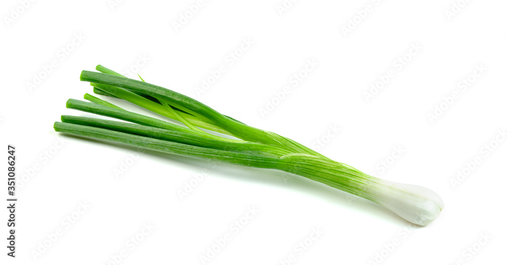 leaf spring onion isolated on white background ,Green leaves pattern leaf spring onion isolated on white background ,Green leaves pattern
