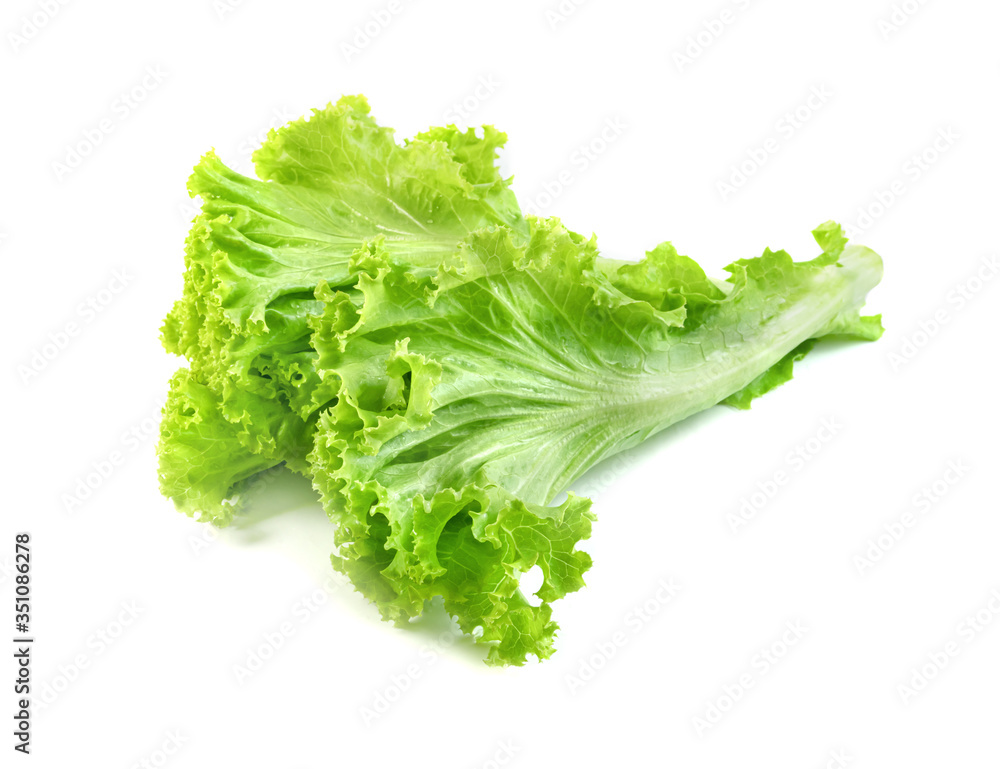 Lettuce leaf isolated on white background ,Green leaves pattern ,Salad ingredient Lettuce leaf isolated on white background ,Green leaves pattern ,Salad ingredient