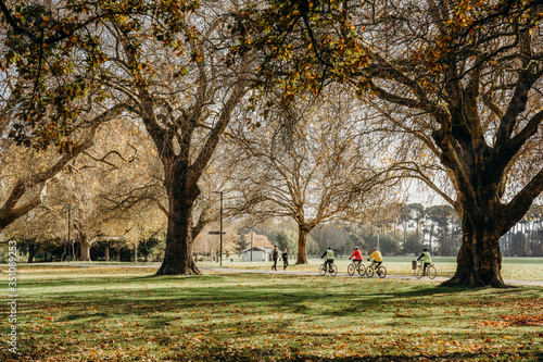 17/5/2020 People workout outdoors, the golden autumn  at Hagley park, Christchurch, New zealand. During COVID-19 Level 2 situation. photo