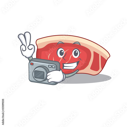 a professional photographer sirloin cartoon picture working with camera