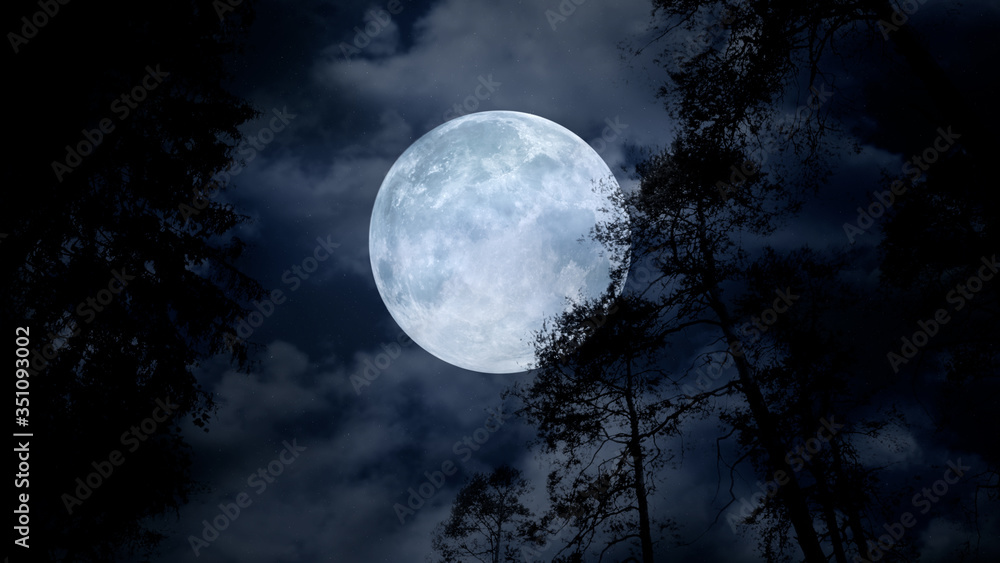 Centered full moon behind tree branches on cloudy night Centered full moon behind tree branches on cloudy night