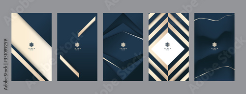 Set of vertical banner template. For Social, Sale, Marketing, Online, Voucher, Spa Package. Luxury logo line with gold and golden texture. Vector illustration. 