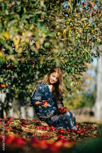 Beautiful asian woman in blue dress picking and smelling red apples in an orchard at Christchruch, New Zealand.