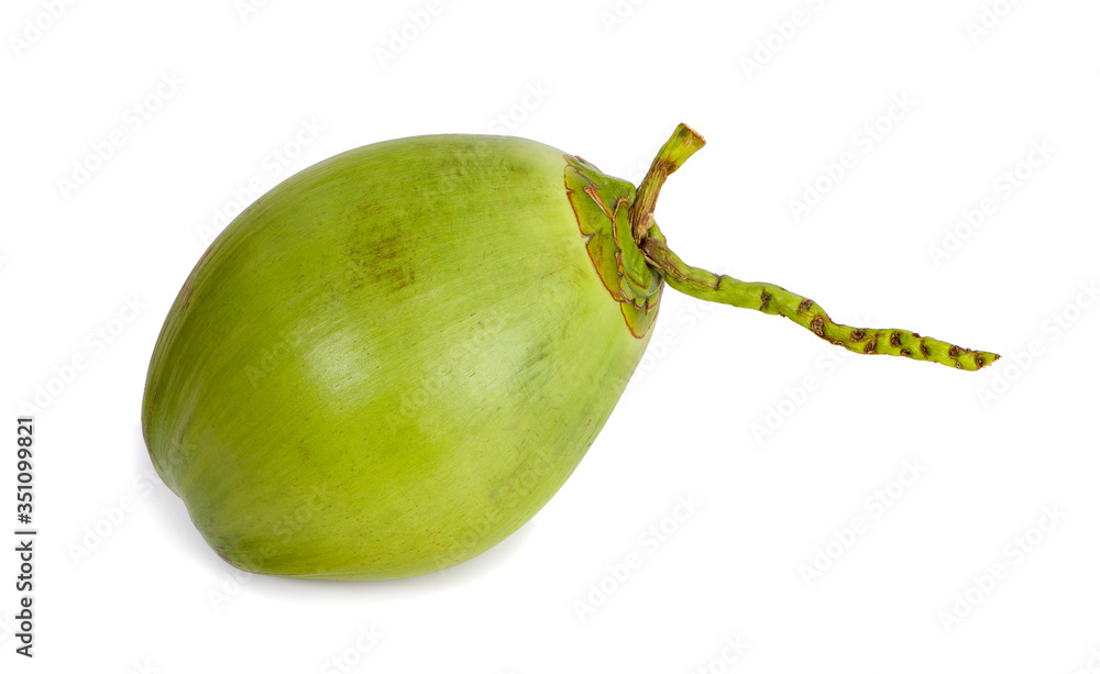 Green coconut Fruit an isolated on white background Green coconut Fruit an isolated on white background