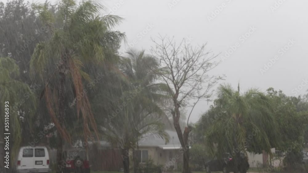storm with rain on the pavement along the road among city streets amid palm trees and trees in miami florida
storm with rain on the pavement along the road among city streets amid palm trees and trees in miami florida