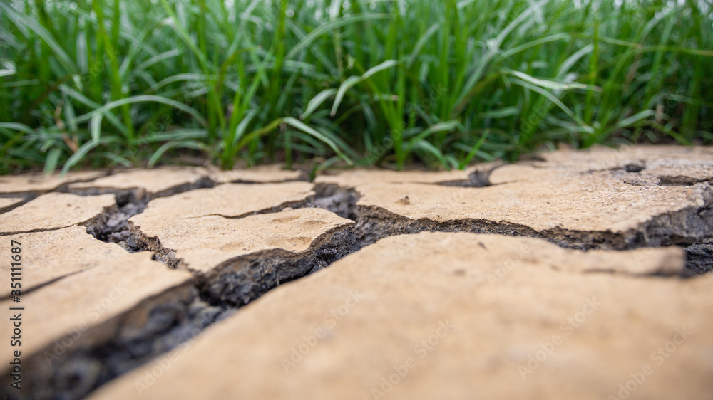 Cracked ground and green grass Cracked ground and green grass