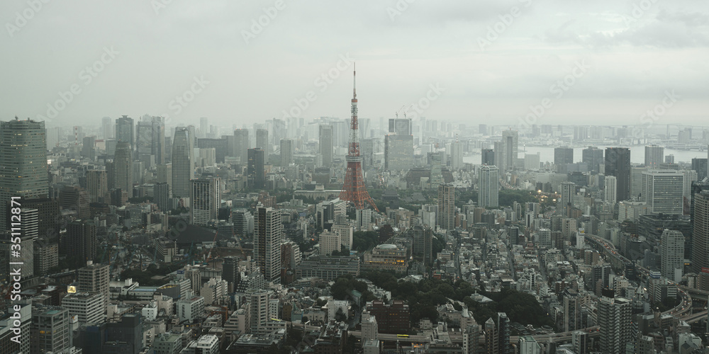 Fototapeta premium Tokyo Tower in Japan