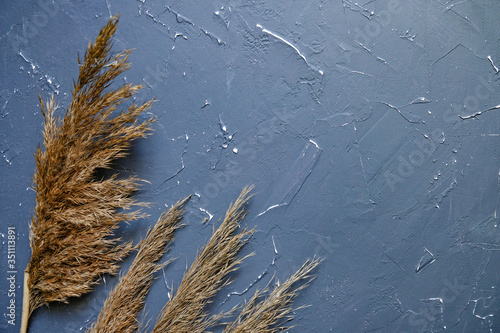 dry reeds on a textured background