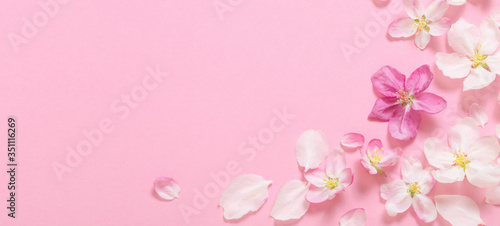 pink apple flowers on pink background