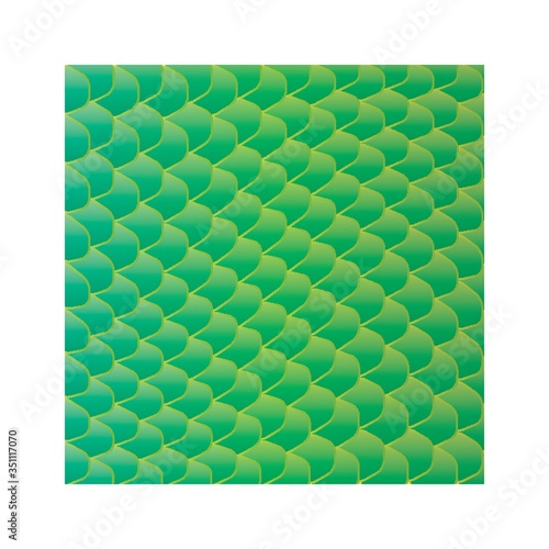 A fish scale background illustration.