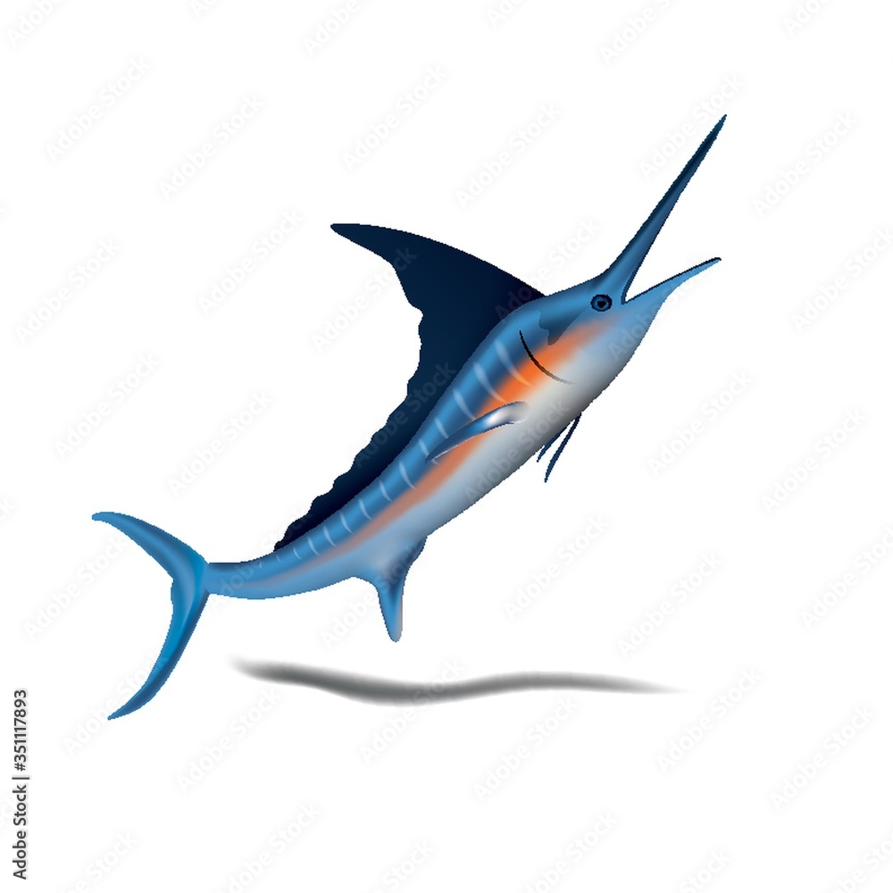 Fototapeta premium A blue marlin fish illustration.