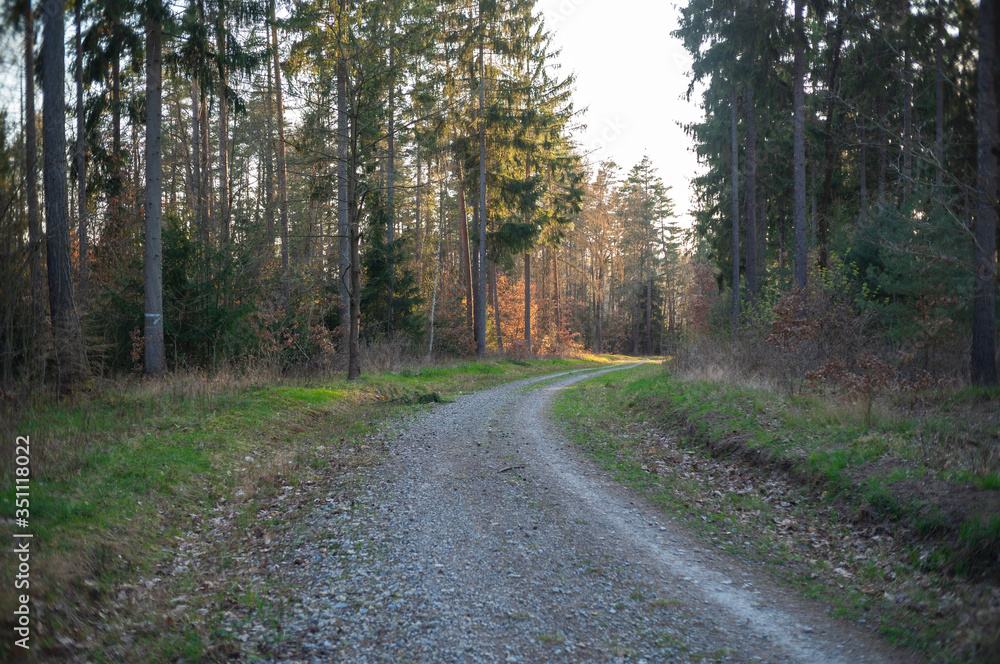 Fototapeta premium Landschaft im Frühling