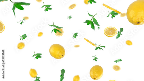 Fototapeta Naklejka Na Ścianę i Meble -  Lemon and mint. Depth of Field on c03 v02
