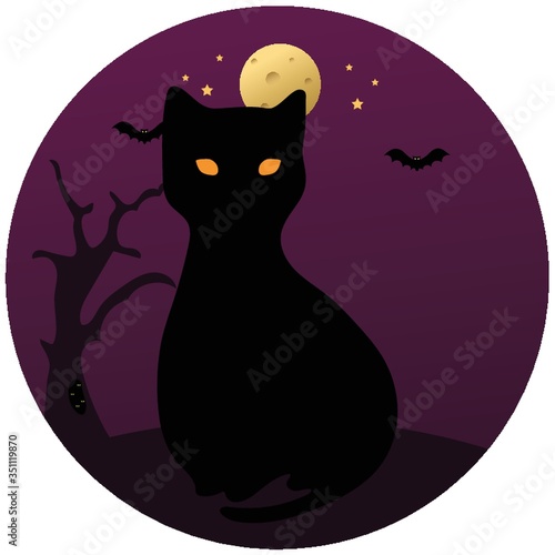 black cat