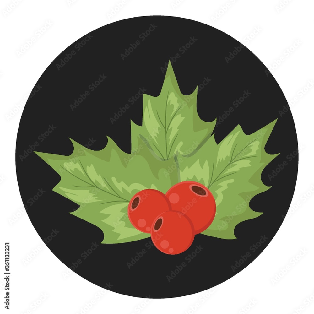 holly berry holly berry