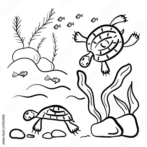Doodle hand drawing pattern. Marine life. Water turtles fish, algae. Monochrome. Simple flat motif . Vector illustration