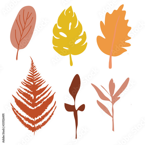 Colorful autumn leaves set isolated on white background. Flat style, vector illustration.