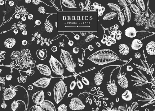 Hand drawn berries design on a chalkboard. Wild berries and flower template Hand drawing. Vintage forest plants sketch. Summer berries outline. 